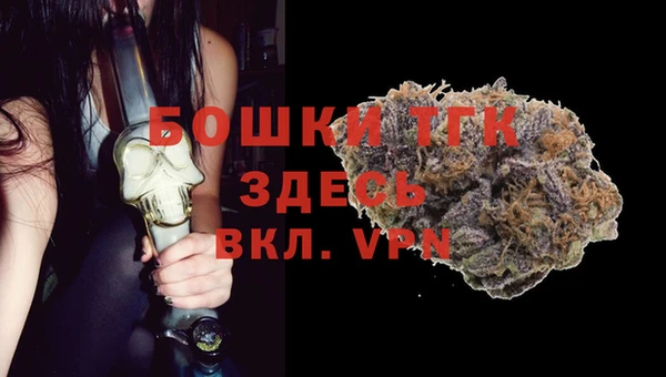 стаф Богородск