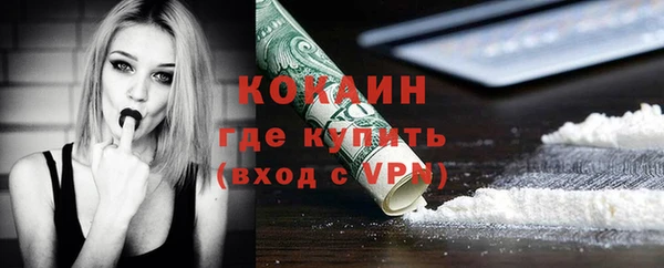 стаф Богородск