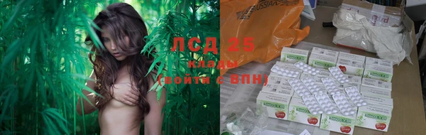 стаф Богородицк