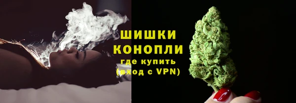 стаф Богородск