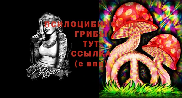 стаф Богородицк