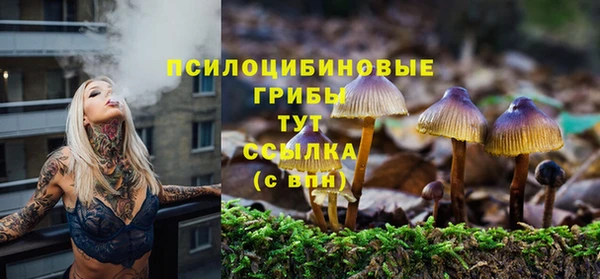 стаф Богородицк