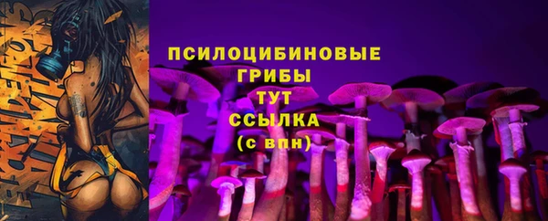 стаф Богородицк