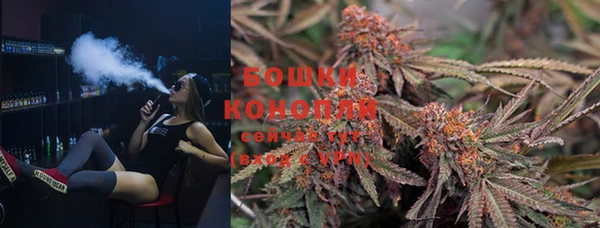 стаф Богородицк