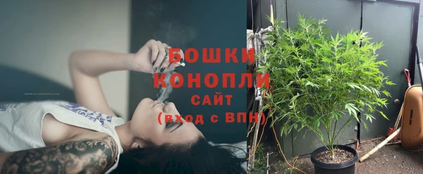 стаф Богородицк