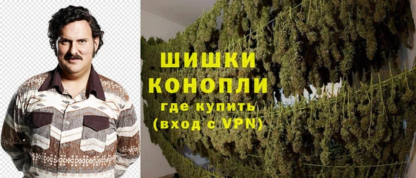 стаф Богородск